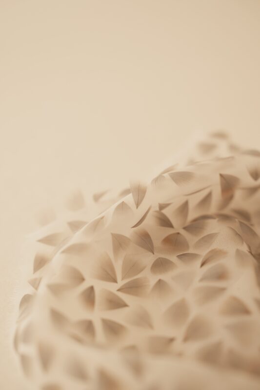 Feather embroidery, French Artist, Lucile Vilaine 