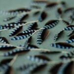 feather, feather art, embroidery, French artisan, Lucile Vilaine