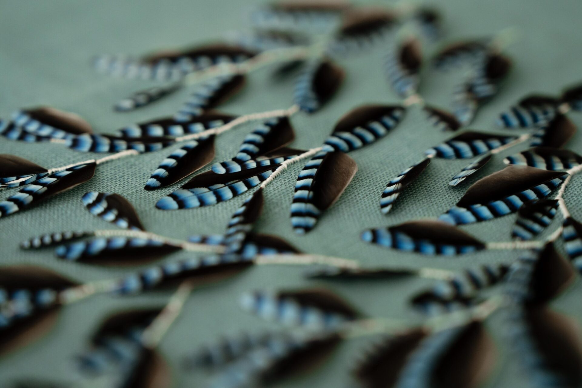 feather, feather art, embroidery, French artisan, Lucile Vilaine