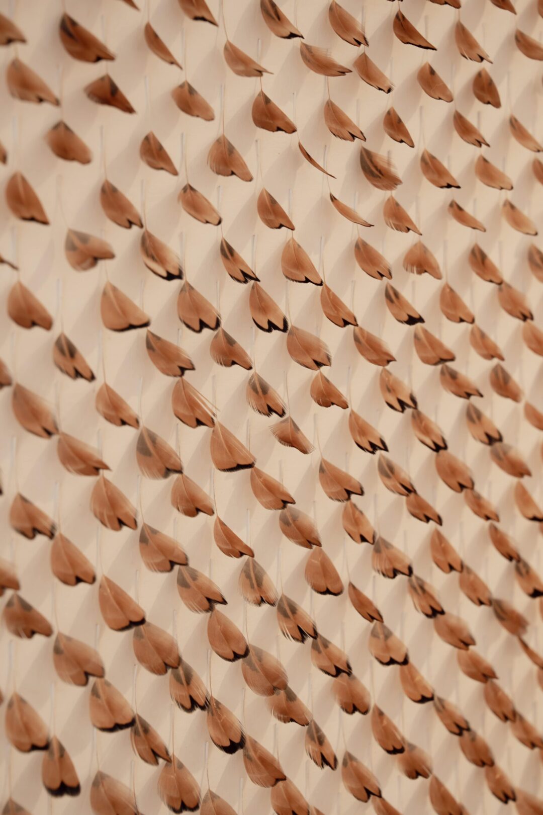 wild bird feather, feather art, embroidery, Lucile Vilaine 